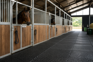 Horse Ranches & Equestrian Centres gallery