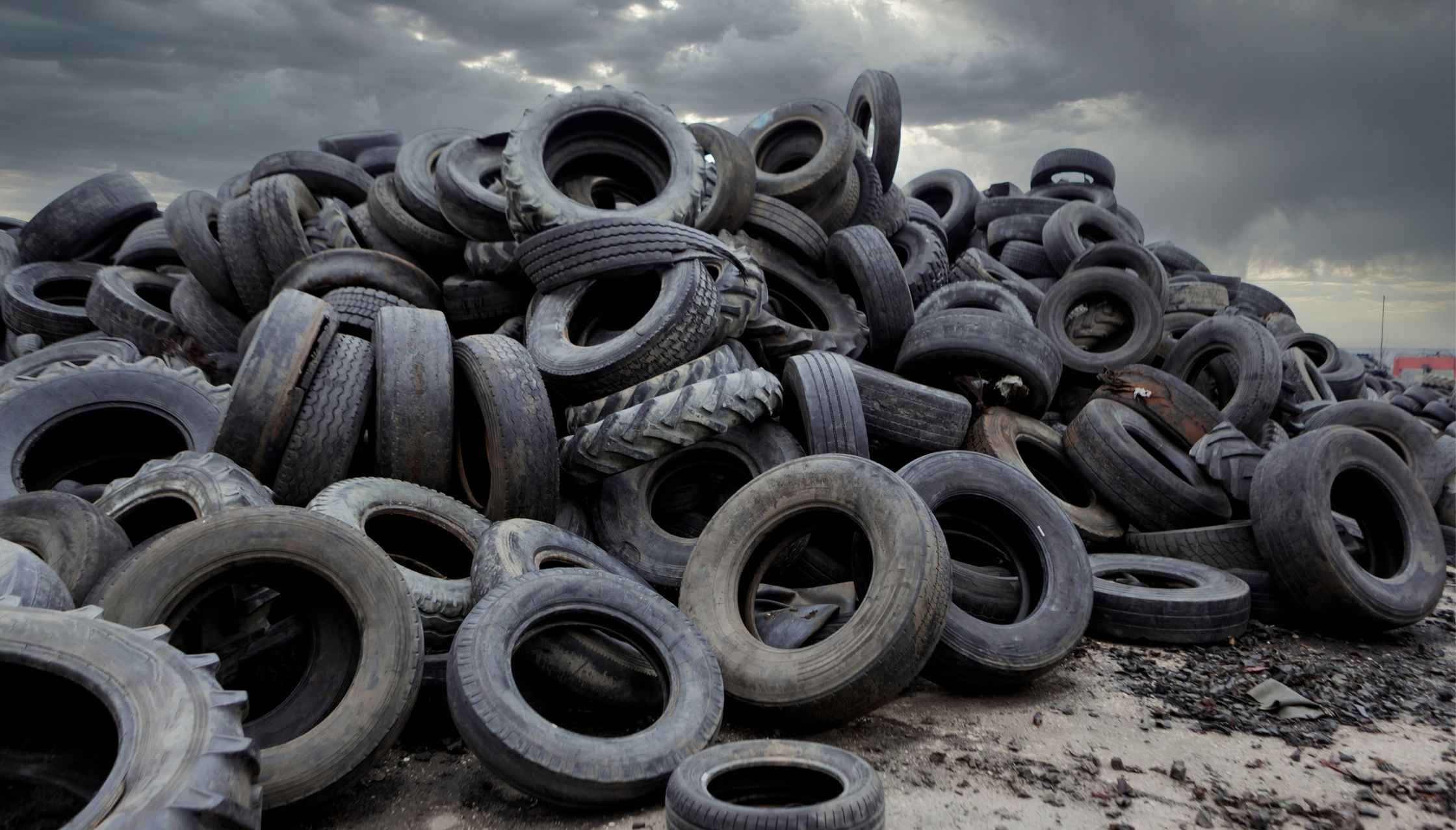 Export & Recycling Buyers
